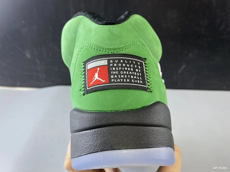 “Oregon” CK6631-307 Jordan Air 5  1126